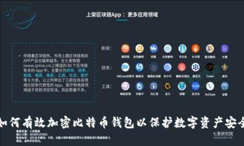 如何有效加密比特币钱包以保护数字资产安全
