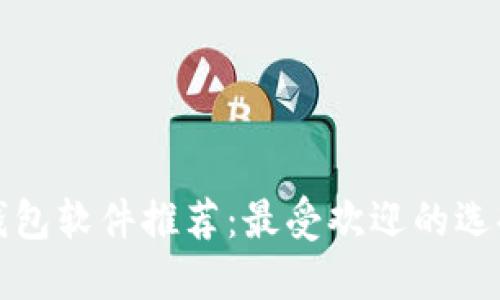 区块链钱包软件推荐：最受欢迎的选择与评测
