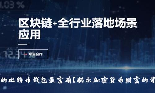 谁的比特币钱包最富有？揭示加密货币财富的背后