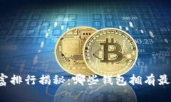 比特币钱包财富排行揭秘