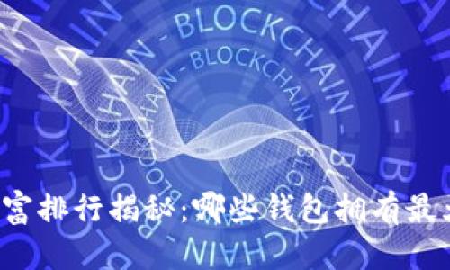 比特币钱包财富排行揭秘：哪些钱包拥有最大比特币资产？