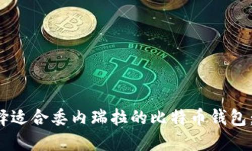  如何选择适合委内瑞拉的比特币钱包：全面指南