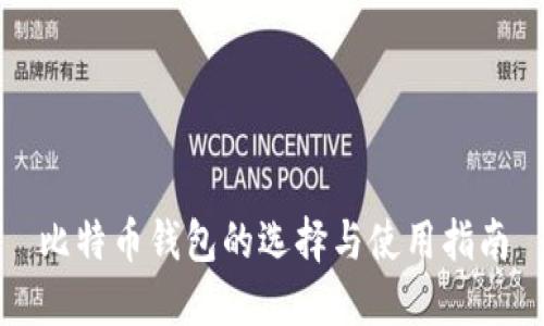 比特币钱包的选择与使用指南