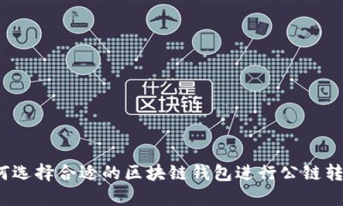 如何选择合适的区块链钱包进行公链转账？
