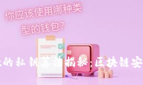 TPWallet的私钥算法揭秘：区块链安全的关键