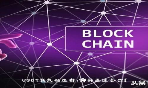 USDT钱包的选择：哪种更适合你？