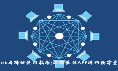 TPWallet马蹄链使用指南：选择最佳APP进行数字资产管理