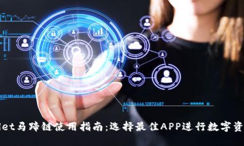 TPWallet马蹄链使用指南：选择最佳APP进行数字资产管理