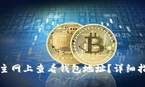 如何在以太坊主网上查看钱包地址？详细指南与实用技巧