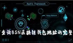 如何查询BSN区块链钱包地