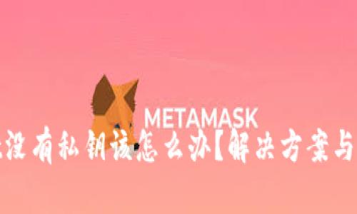 tpwallet没有私钥该怎么办？解决方案与安全建议
