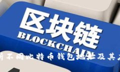 全面解析不同比特币钱包地址及其应用场景