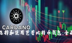 如何选择和使用芭蕾比特