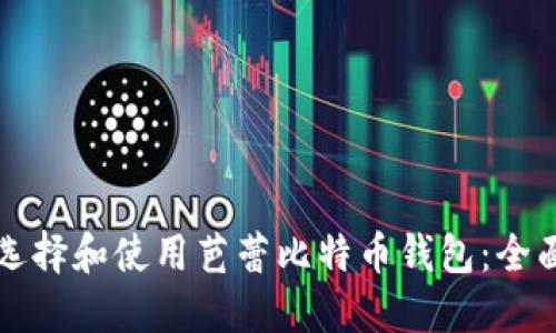 如何选择和使用芭蕾比特币钱包：全面指南