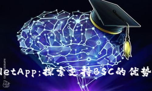 TPWalletApp：探索支持BSC的优势与应用