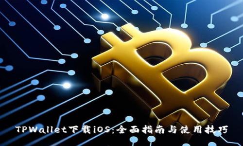 TPWallet下载iOS：全面指南与使用技巧