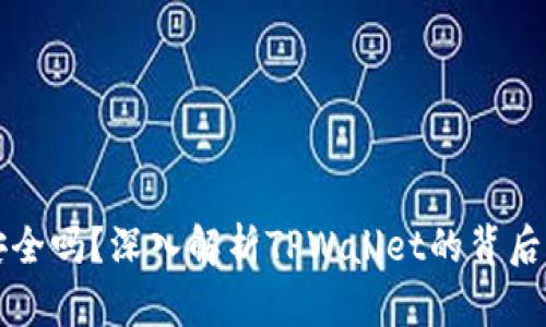 TPWallet安全吗？深入解析TPWallet的背后与创始团队
