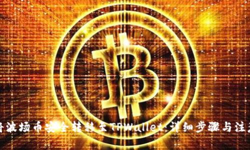 如何将波场币安全转移至TPWallet：详细步骤与注意事项