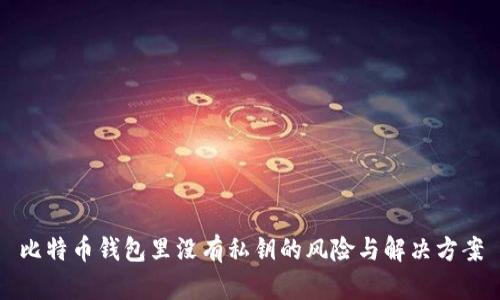 比特币钱包里没有私钥的风险与解决方案