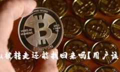 tpwalletu被转走还能找回来