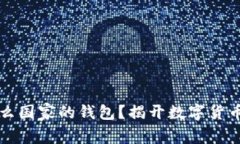 虚拟币是什么国家的钱包