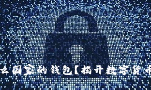 虚拟币是什么国家的钱包？揭开数字货币的神秘面纱