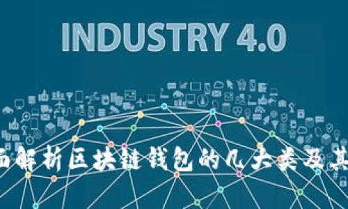  全面解析区块链钱包的几大类及其特点