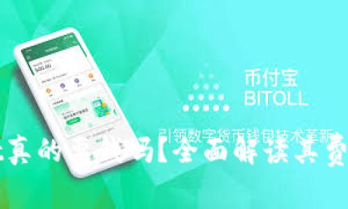下载TPWallet真的要钱吗？全面解读其费用和使用体验