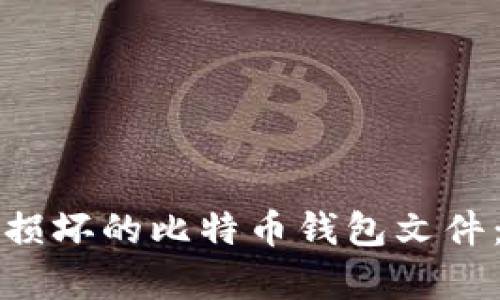 如何修复损坏的比特币钱包文件：全面指南