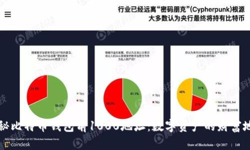 揭秘比特币钱包前1000地址：数字资产的财富地图