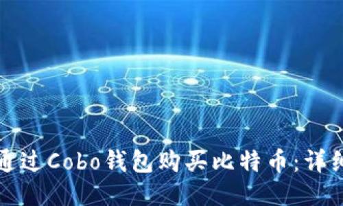 如何通过Cobo钱包购买比特币：详细指南