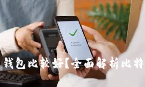 存比特币用什么钱包比较好？全面解析比特币钱包选择指南