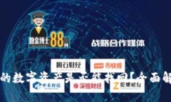 TPWallet丢失的数字资产是否
