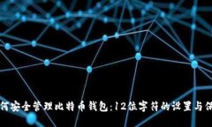 如何安全管理比特币钱包：12位字符的